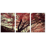 Beautiful Tree in the Fall - Big Poster in Three Pieces