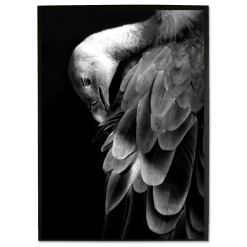 Stor fågel & mörk bakgrund - Svartvit Poster