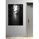 Big Black and White Forest Poster