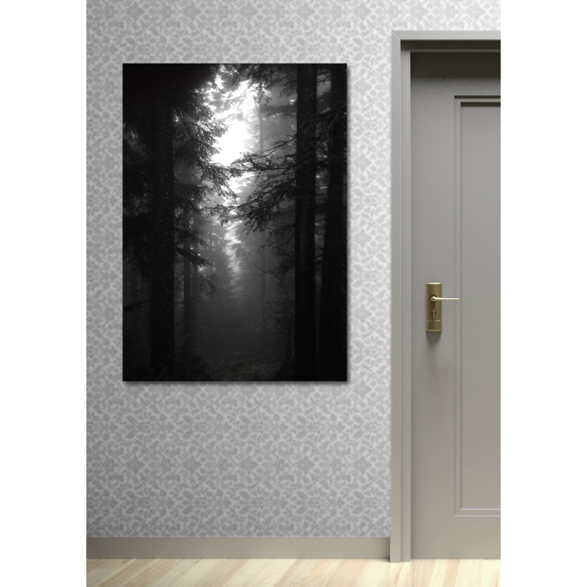 Big Black and White Forest Poster