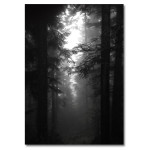 Big Black and White Forest Poster