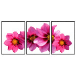 Big Pink Poster with Flowers - Three Pieces