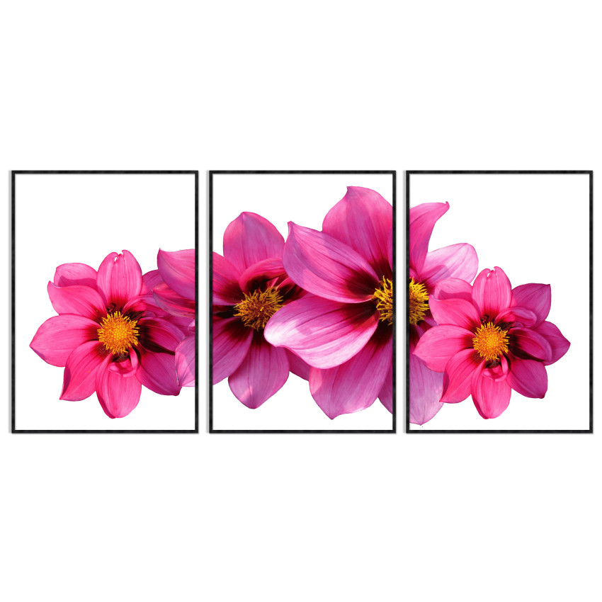 Big Pink Poster with Flowers - Three Pieces