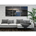 Vackert naturlandskap - Svartvit tavla med färg i tre delar