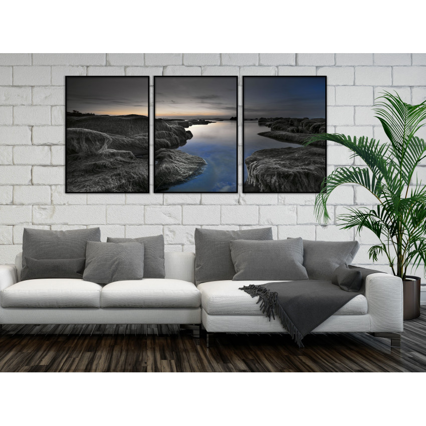 Vackert naturlandskap - Svartvit tavla med färg i tre delar