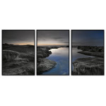 Vackert naturlandskap - Svartvit tavla med färg i tre delar