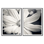 Svartvit blomma - Botaniskt tavelset i två delar