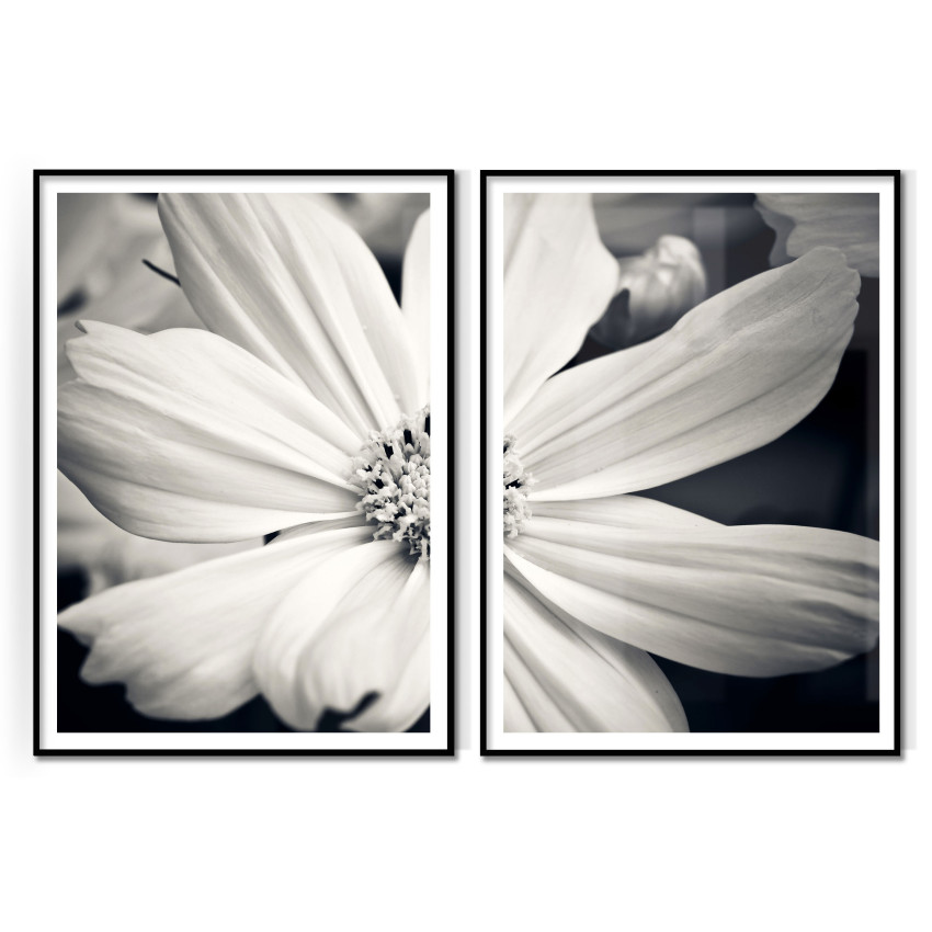 Svartvit blomma - Botaniskt tavelset i två delar
