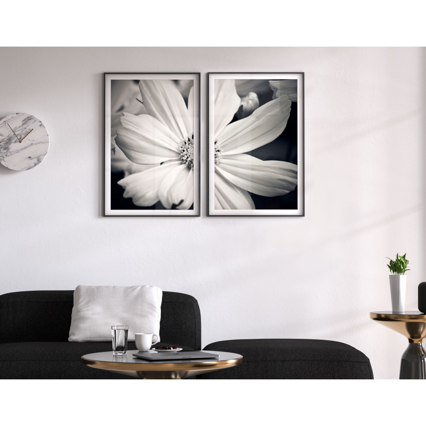 Svartvit blomma - Botaniskt tavelset i två delar