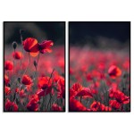 Black and White Red Poster - Flowers