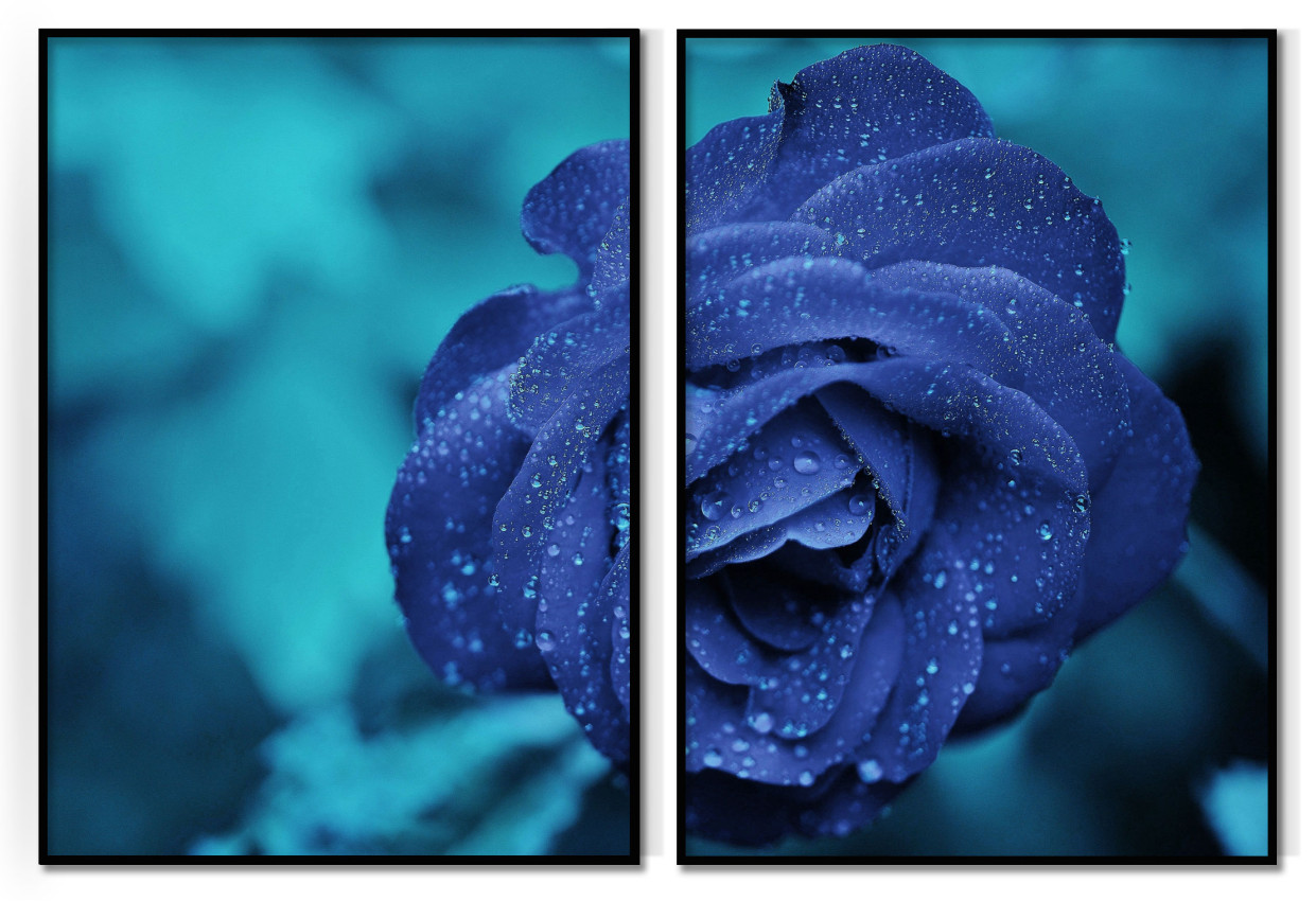 Blue Rose - Two Piece Poster