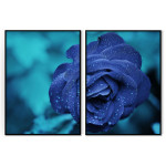 Blue Rose - Two Piece Poster