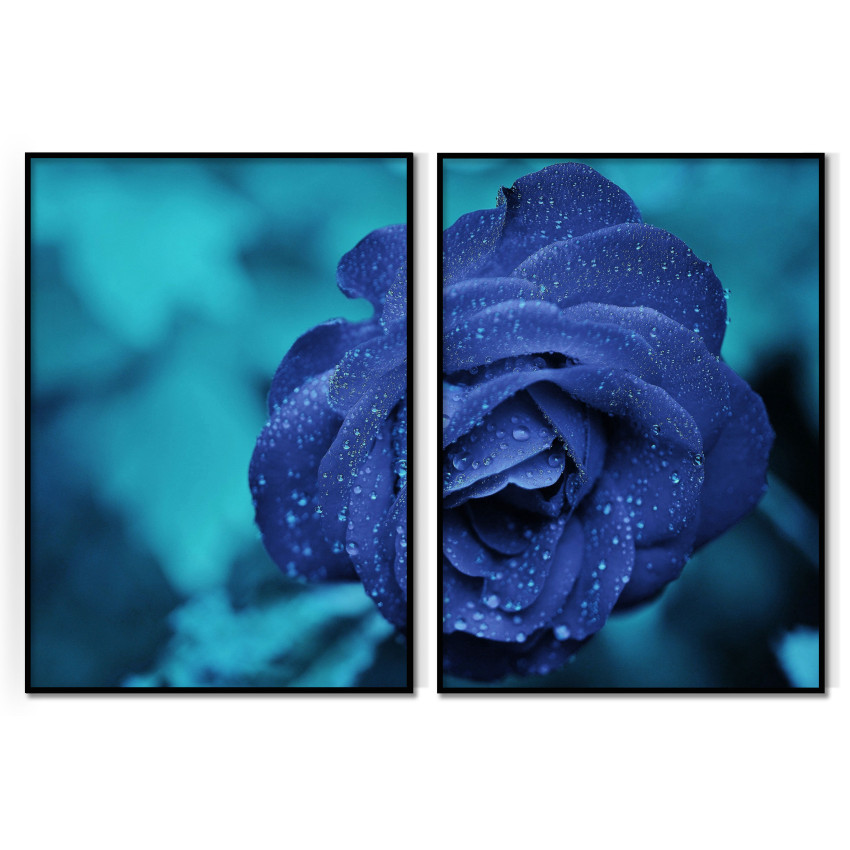 Blue Rose - Two Piece Poster