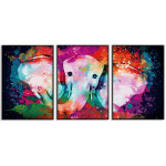 Colorful African elephant - Three piece poster