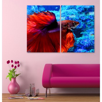 Röd Kampfisk i Klarblått Vatten - Tvådelad Poster Röd Kampfisk i Klarblått Vatten - Tvådelad Poster