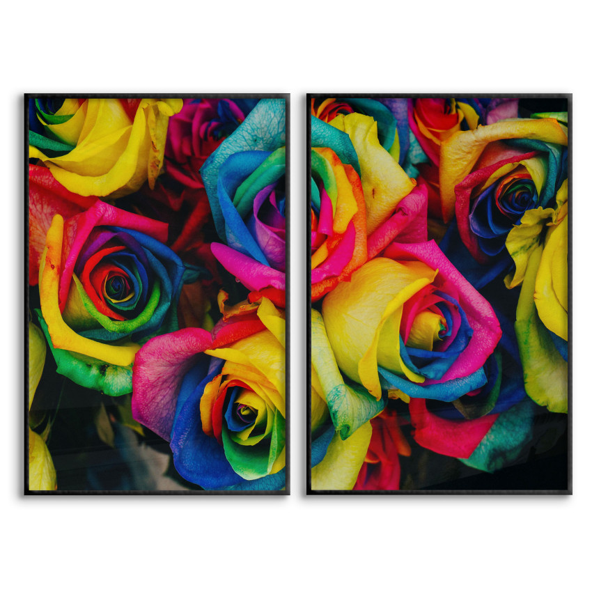 Colorful Roses - Two Piece Poster