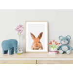 Cute rabbit poster 50x70cm