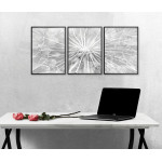Dandelion - Three Piece Poster