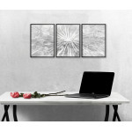 Dandelion - Three Piece Poster
