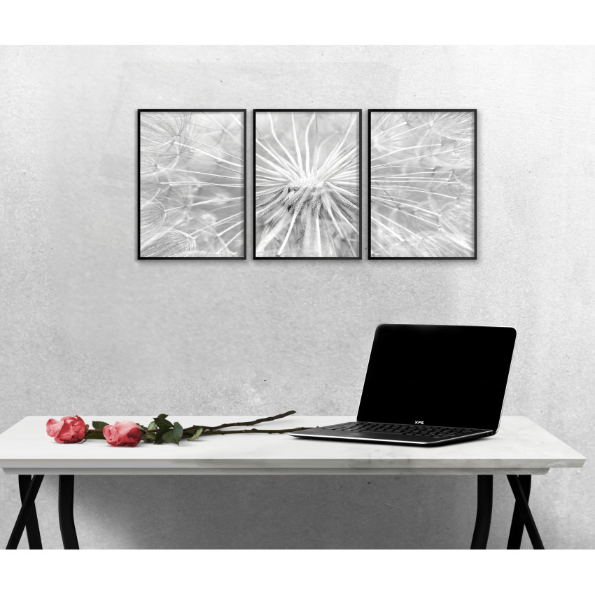 Dandelion - Three Piece Poster
