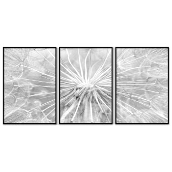 Dandelion - Three Piece Poster