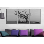 Dead Tree - Black and White Three Piece Poster