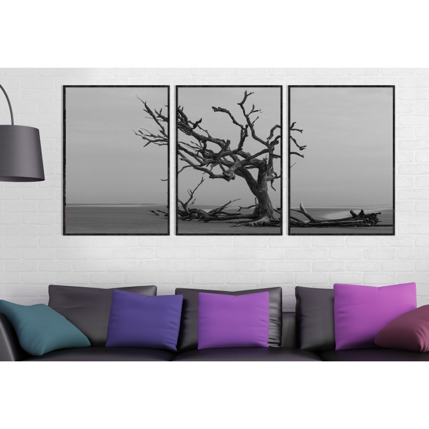Dead Tree - Black and White Three Piece Poster