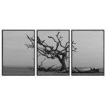Dead Tree - Black and White Three Piece Poster