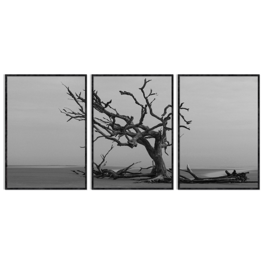 Dead Tree - Black and White Three Piece Poster