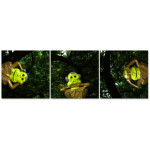 Deaf Dumb Blind Monkeys - Poster in Three Pieces