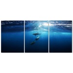 Dolphins in the Sea - Poster in Three Pieces