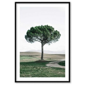 Drömskt träd 40x50cm poster