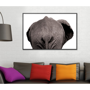 Elefant bakifrån - Svartvit poster