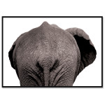 Elephant from Behind - Poster