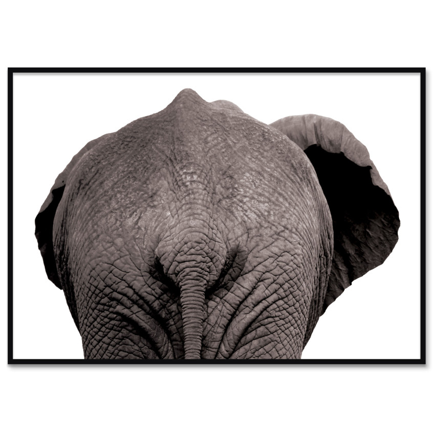 Elephant from Behind - Poster