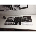 Elephant from the Front - Black and White Poster in Three Pieces