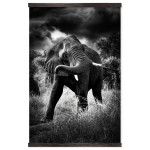 Elephant in Action - Big Black and White Poster
