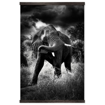 Elephant in Action - Big Black and White Poster