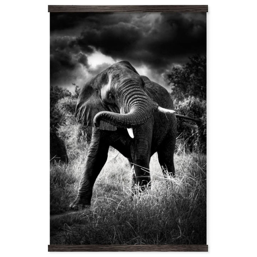 Elephant in Action - Big Black and White Poster