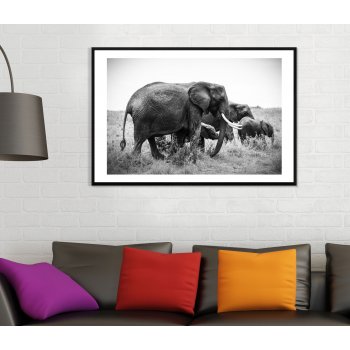 Elephants - Simple Black and White Poster