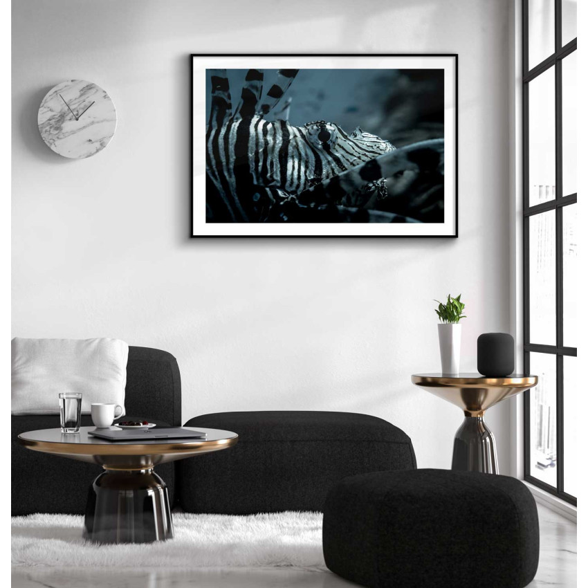 Exotisk fisk - Elegant poster