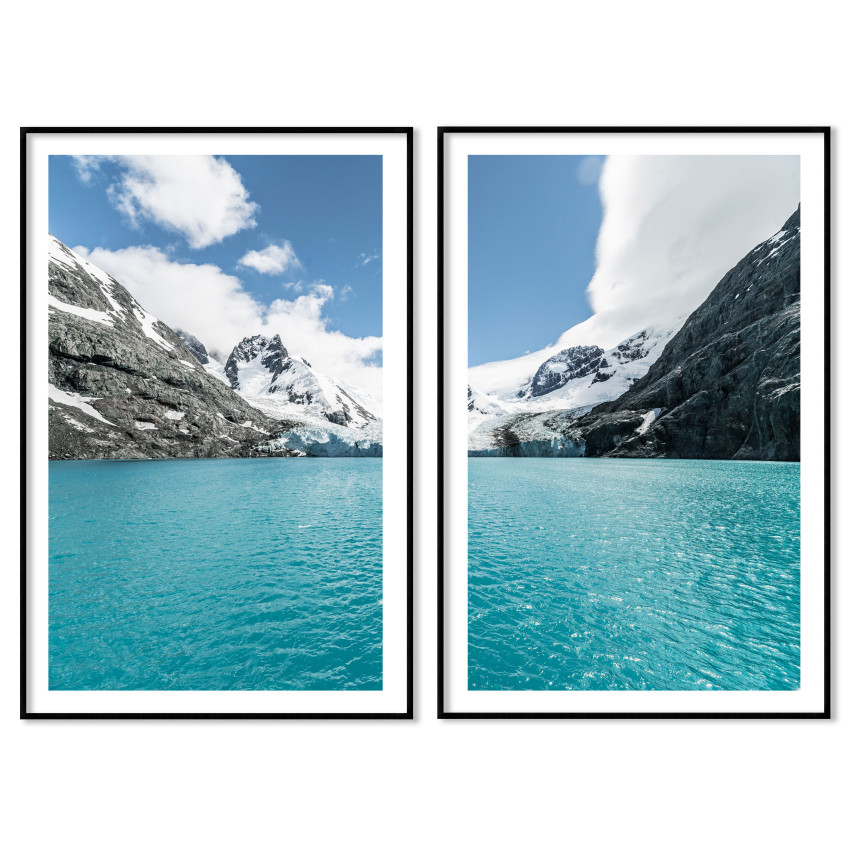 Exotiskt naturmotiv 61x91cm x 2 posters