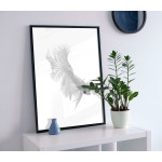 Fighting fish poster (A3)