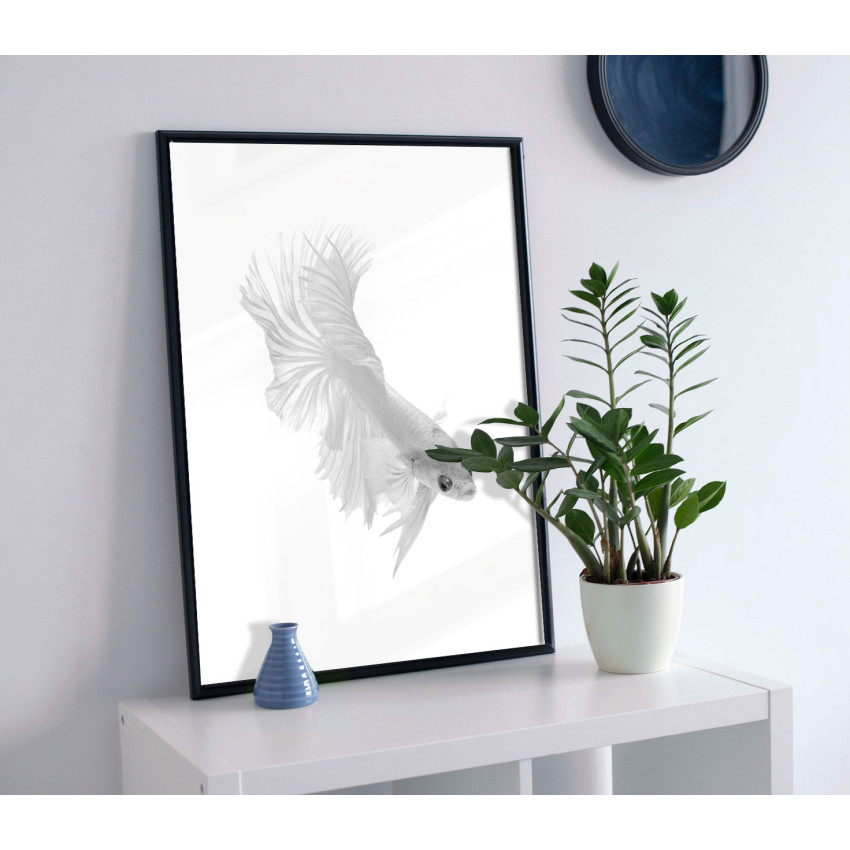 Fighting fish poster (A3)