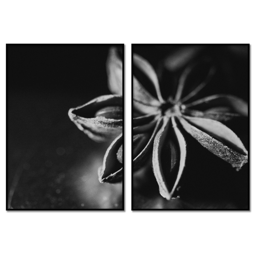 Närbild på blomma i mörker - Svartvit tavla