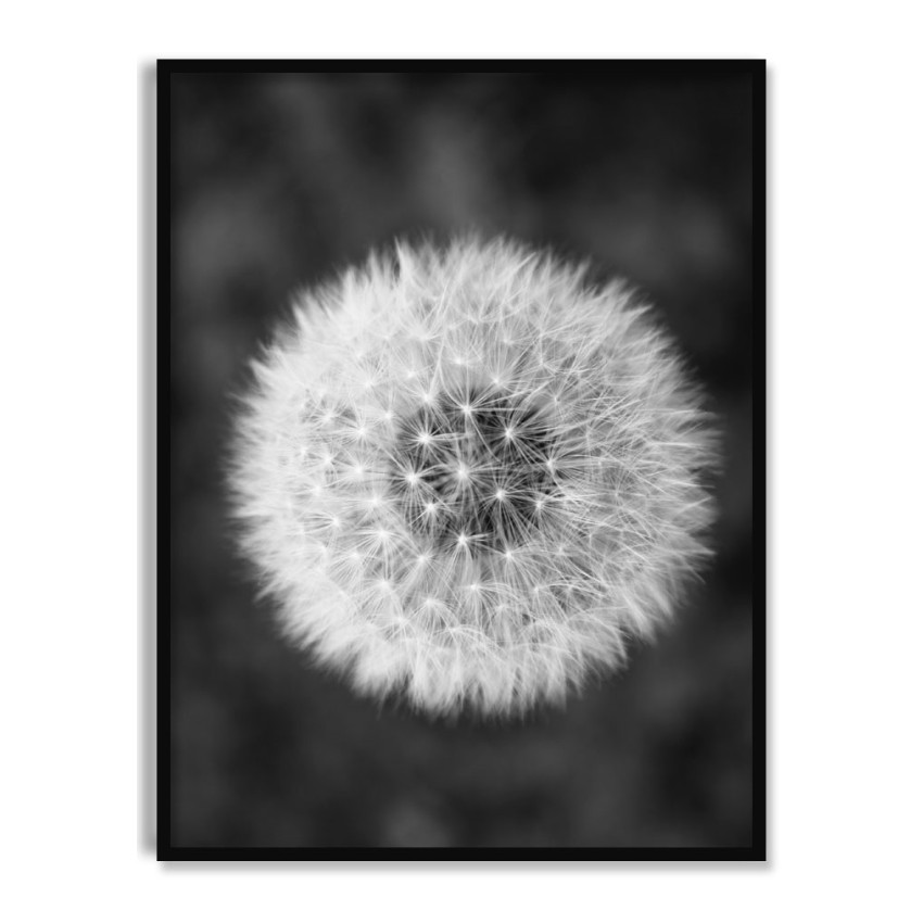 Flower - Dark Black and White Poster