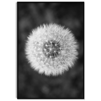 Flower - Dark Black and White Poster
