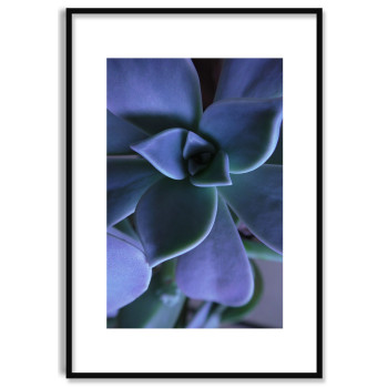 Botaniska V&auml;xter och Blommor - Poster