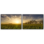 Flowers as Far as it Goes Retro - Two Piece Poster