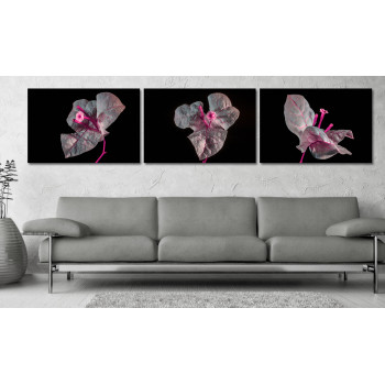 Flowers in the Dark - Poster in Three Pieces